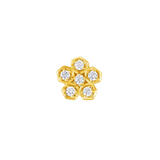 Anemone – 14K Gold Threadless/Threaded End - piercing - zone.com