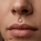 Anemone – 14K Gold Threadless/Threaded End - piercing - zone.com