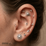 Anglerfish – 14K Gold Threadless/Threaded End - piercing - zone.com