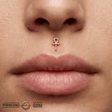 Ankh Pin - 14K Gold Ankh Threadless End - piercing - zone.com