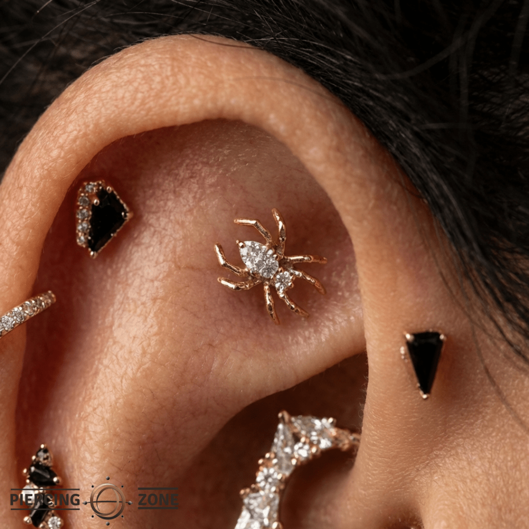 Arachne – CZ Spider – 14K Gold Threadless End - piercing - zone.com