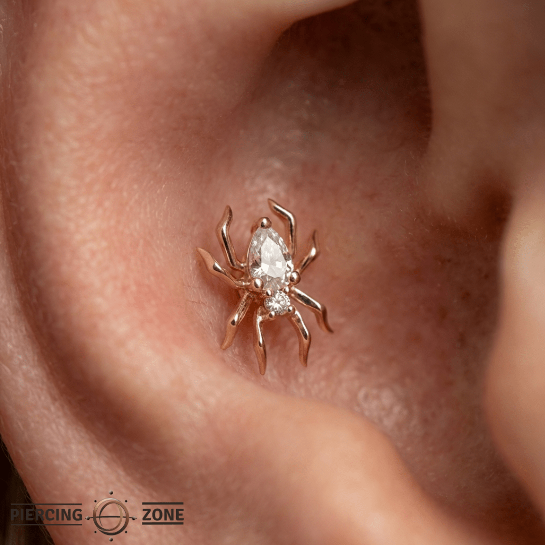 Arachne – CZ Spider – 14K Gold Threadless End - piercing - zone.com