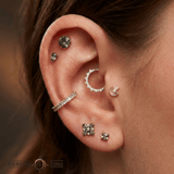 Ashby – 14K Gold Threadless/Threaded End - piercing - zone.com