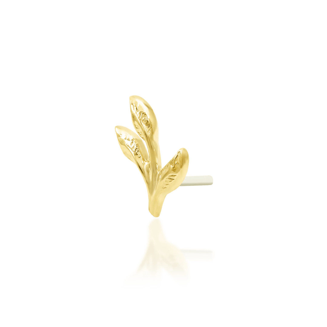 Ashe – Mini Leaf Sprig – 14K Gold Threadless End - piercing - zone.com
