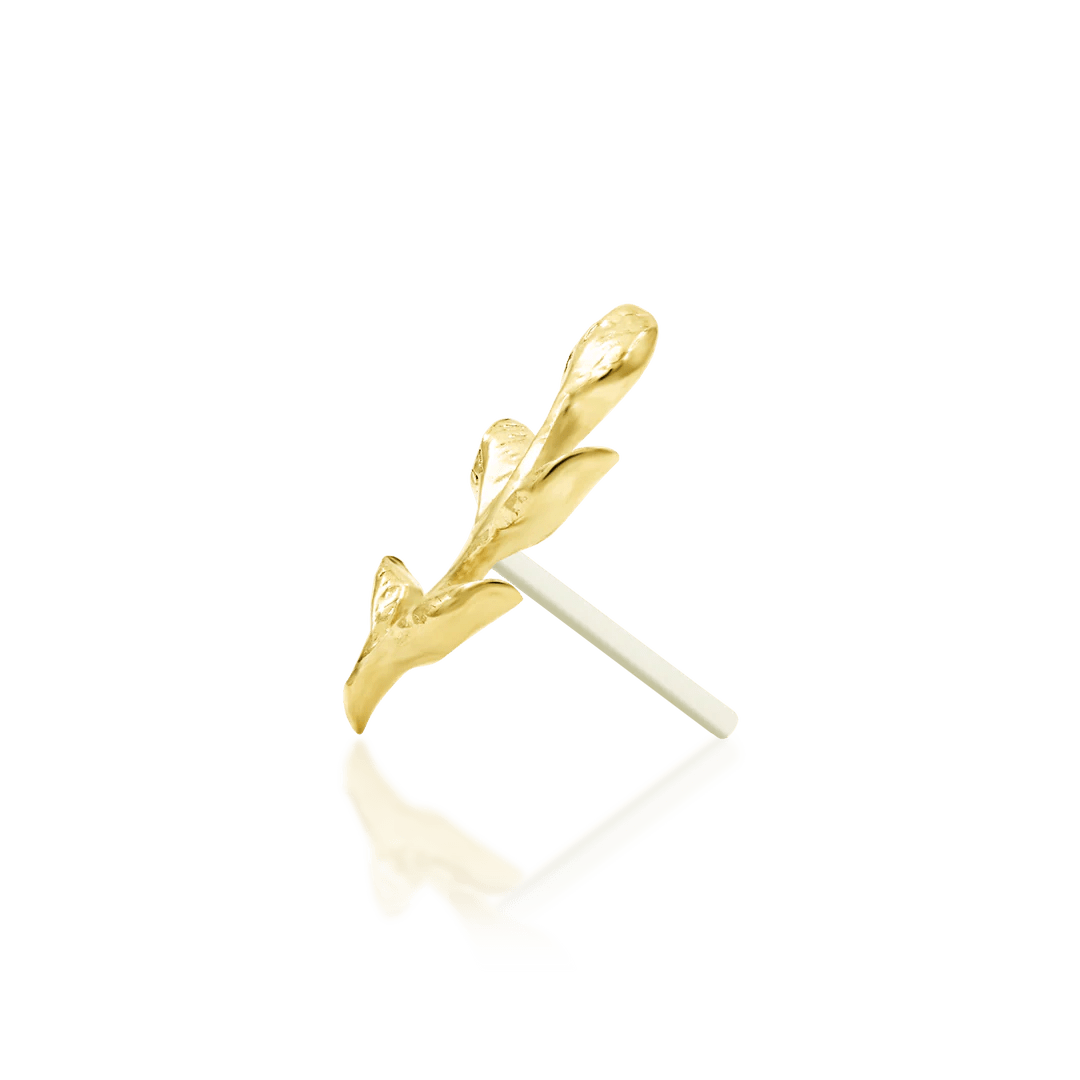 Aspen – Textured Leaf Sprig – 14K Gold Threadless End - piercing - zone.com