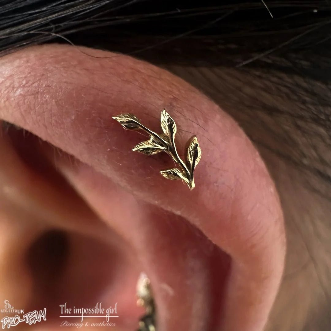 Aspen – Textured Leaf Sprig – 14K Gold Threadless End - piercing - zone.com
