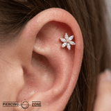 Asphodel - 18K Gold Gem Threadless/Threaded End - piercing-zone.com