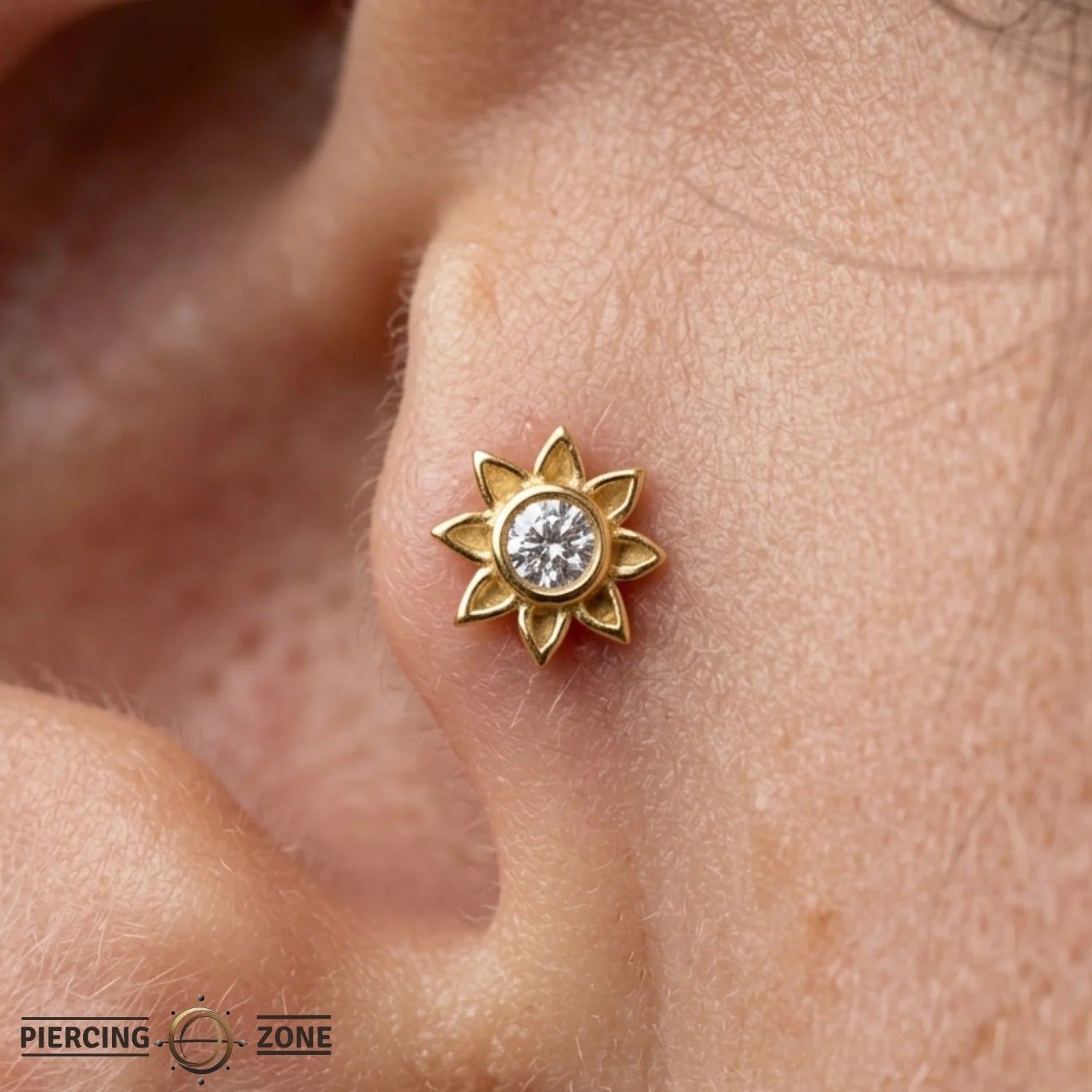 Aster – 14K Gold Threadless/Threaded End - piercing - zone.com