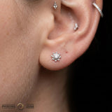 Aster – 14K Gold Threadless/Threaded End - piercing - zone.com