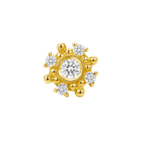 Astra – 14K Gold Threadless/Threaded End - piercing-zone.com