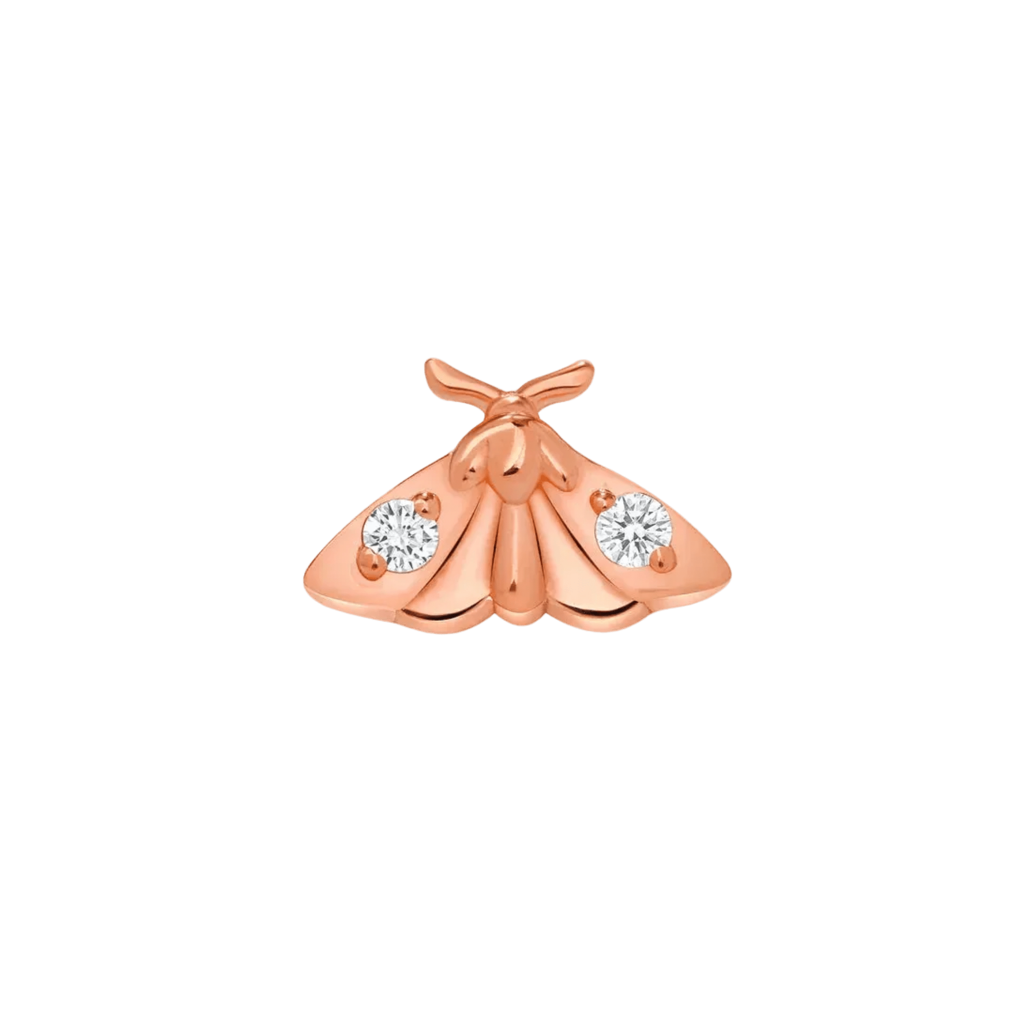 Atlas Moth – 14K/18K Gold Gem Threadless End - piercing-zone.com