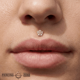 Audacious CZ Cluster – 14K Gold Threadless End - piercing - zone.com