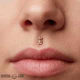Baby Bear – 14K Gold Threadless/Threaded End - piercing - zone.com