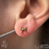Barb - Ara – Barbed Wire Silhouette – 14K Gold Threadless End - piercing - zone.com