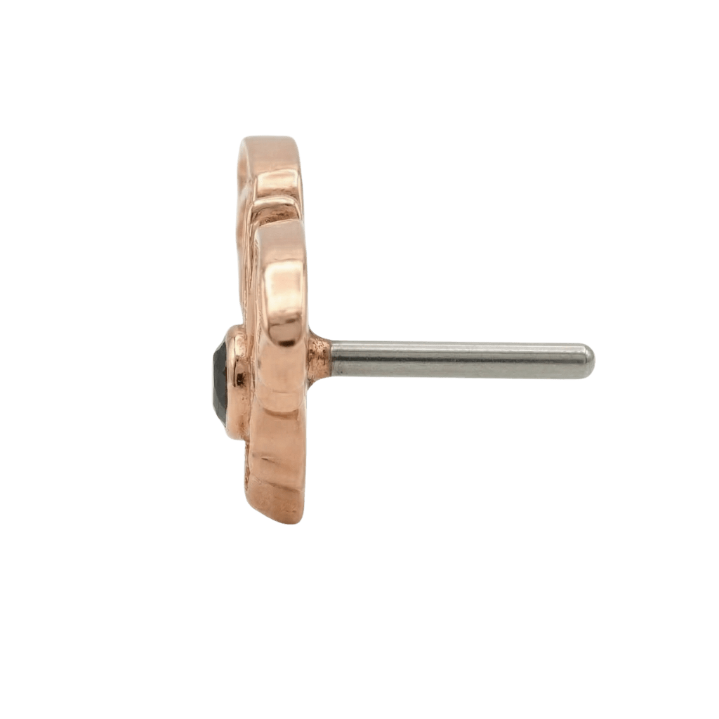 Bat – 14K Gold Threadless/Threaded End - piercing - zone.com