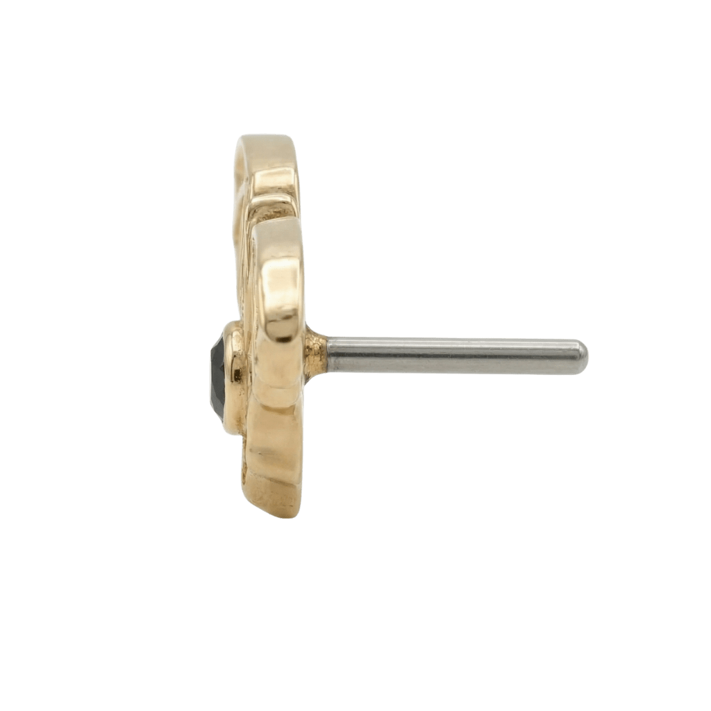 Bat – 14K Gold Threadless/Threaded End - piercing - zone.com