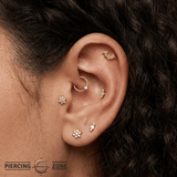 Bat – 14K Gold Winged Threadless Pin - piercing - zone.com