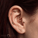 Bat Pumpkin – 14K Gold Threadless/Threaded End - piercing - zone.com