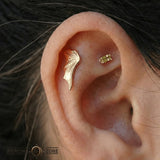 Bat Wing – 14K Gold Threadless/Threaded End - piercing - zone.com