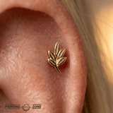Bay Branch – 14K Gold Threadless/Threaded End - piercing - zone.com