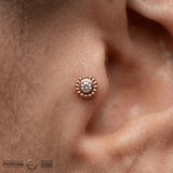 Beaded Bloom – 14K Gold Threadless/Threaded End - piercing - zone.com