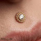 Beaded Bloom – 14K Gold Threadless/Threaded End - piercing - zone.com