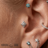 Beaded Diamond - 14K Gold Threadless/Threaded - piercing - zone.com