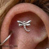 Beaded Dragonfly – 14K Gold Threadless/Threaded End - piercing - zone.com