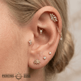 Bee – 14K Gold Threadless/Threaded End - piercing - zone.com