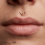 Bee Chic – Citrine 14K Gold Threadless End - piercing - zone.com