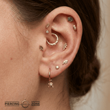 Beetle – 14K & 18K Gold Charm - piercing - zone.com