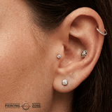 Beetle – 14K Gold Threadless End - piercing - zone.com