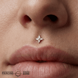 Biarritz Round Mother of Pearl – 14K Gold Threadless End - piercing - zone.com