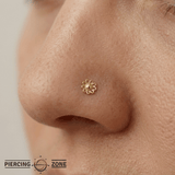 Blossom Pin - 14K Gold Floral Threadless End - piercing - zone.com