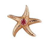 Starfish – 14K Gold Threadless/Threaded End