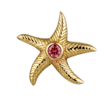 Starfish – 14K Gold Threadless/Threaded End