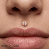 Bolly - 14K Gold Cluster Threadless/Threaded End - piercing - zone.com