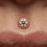 Bolly - 14K Gold Cluster Threadless/Threaded End - piercing - zone.com