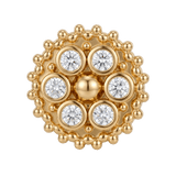 Bolly - 14K Gold Cluster Threadless/Threaded End - piercing - zone.com