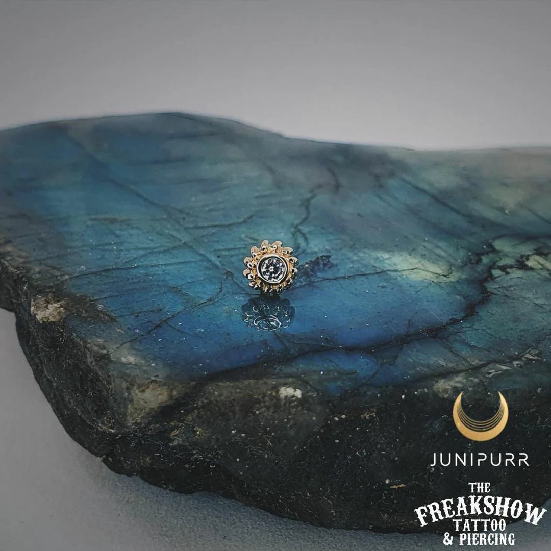 Braided CZ Bezel - Set – 14K Gold Threadless End - piercing - zone.com