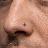 Burst - 14K Gold Threadless/Threaded - piercing - zone.com