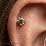 Burst - 14K Gold Threadless/Threaded - piercing - zone.com