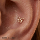 Butterfly – 14K Gold Threadless/Threaded End - piercing - zone.com