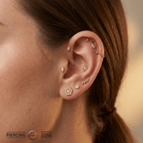 Butterfly – 14K Gold Threadless/Threaded End - piercing - zone.com