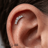 Cabo - 14K Gold Graduating Arc Threadless/Threaded End - piercing - zone.com