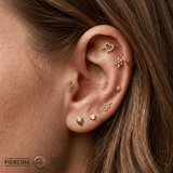Cactus – 14K Gold Botanical Threadless Pin - piercing - zone.com