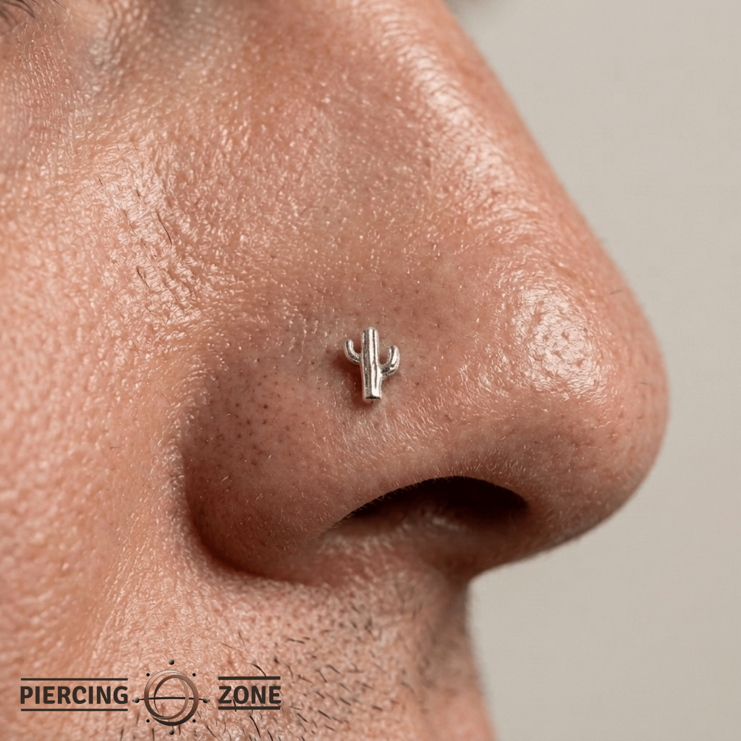 Cactus – 14K Gold Botanical Threadless Pin - piercing - zone.com