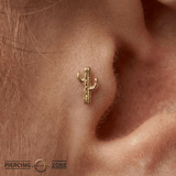 Cactus – 14K Gold Botanical Threadless Pin - piercing - zone.com