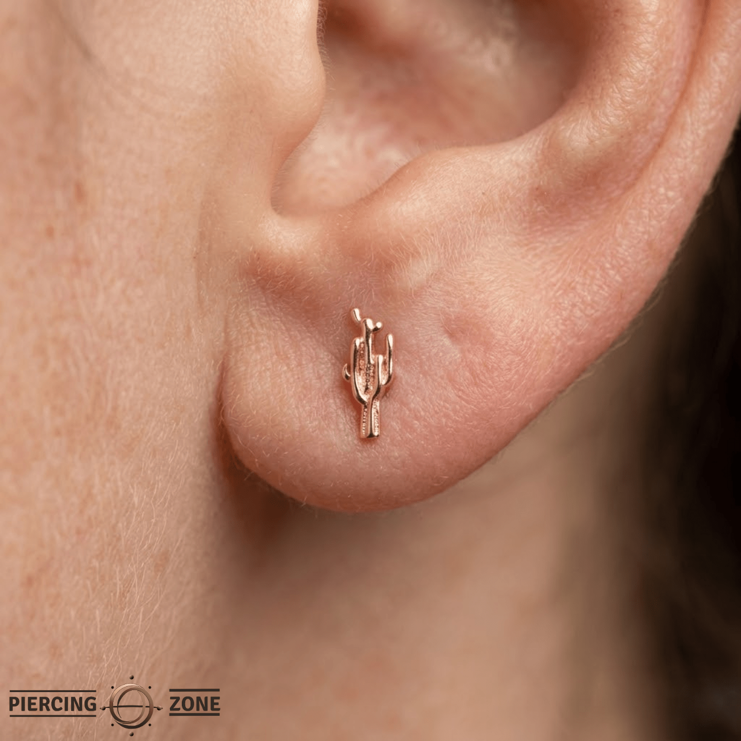 Cactus – 14K Gold Threadless/Threaded End - piercing - zone.com