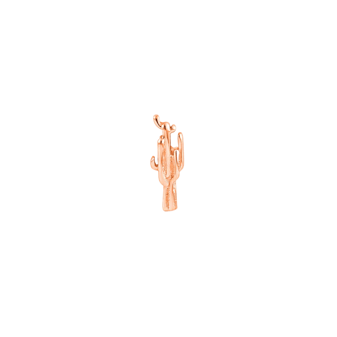 Cactus – 14K Gold Threadless/Threaded End - piercing - zone.com